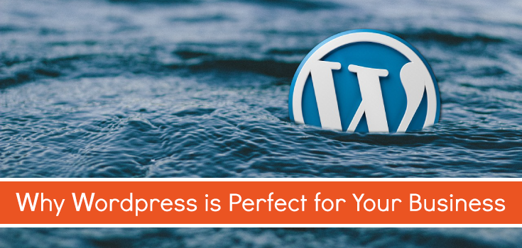 Why WordPress is Perfect for Your Business