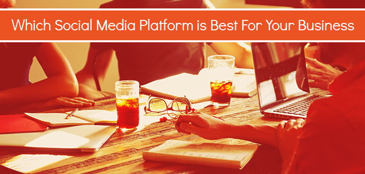 Which Social Media Platform is Best for Your Business? [Inflowgraphic]